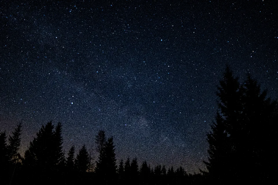 Milchstraße und Sternenhimmel über der dunklen Silhouette von Tannenbäumen am Lotharpfad im Schwarzwald.