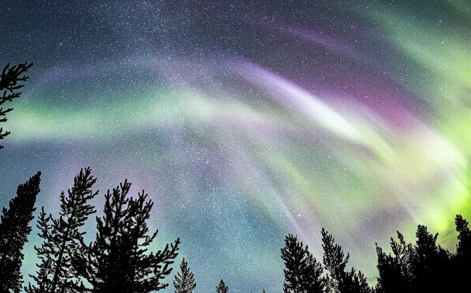 Grüne Nordlichter und die Milchstraße am sternenklaren Nachthimmel über einem dunklen Nadelwald am Ahvenjärvi in Inari, Finnland.
