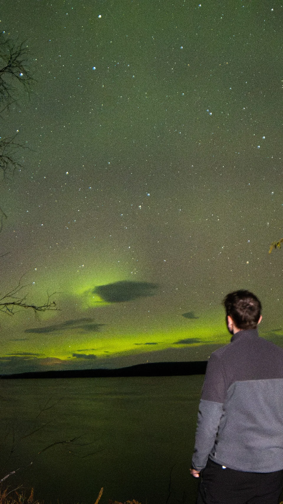Person von hinten am Ufer des Särkijärvi in Finnland, die grüne Nordlichter am sternenklaren Nachthimmel über dem See betrachtet.