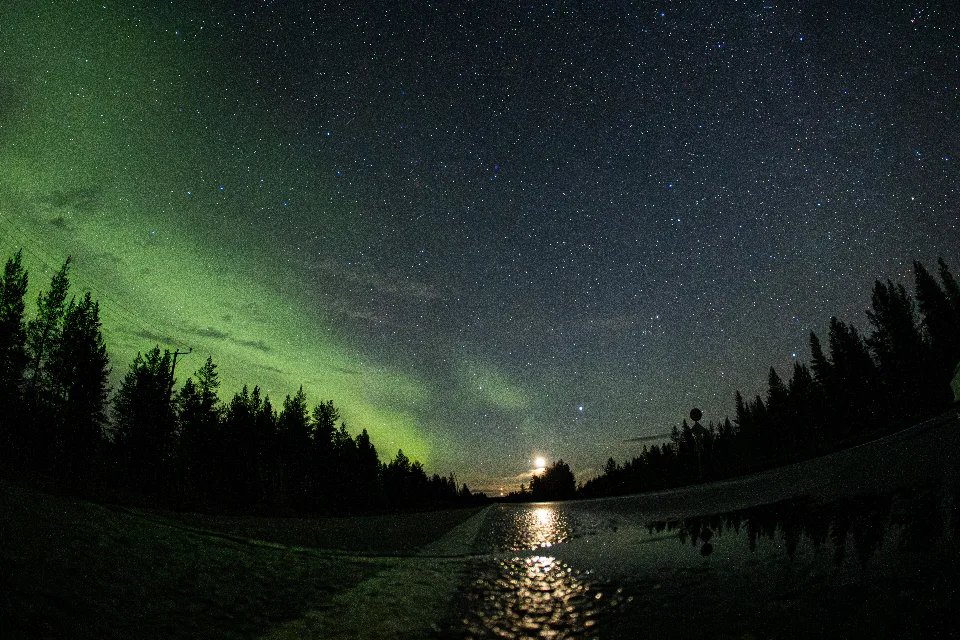 Sternenhimmel mit grünlichem Nordlicht auf der linken Seite und aufgehender Mondsichel in der Mitte über einer von Bäumen gesäumten Straße in Muonio, Finnland. Eine Pfütze auf der Straße spiegelt den Sternenhimmel, während Straßenmarkierungen im Vordergrund zu sehen sind.